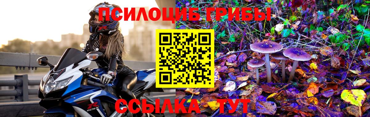 Псилоцибиновые грибы MAGIC MUSHROOMS  Вход с VPN  Галлюциногенные грибы Magic Shrooms  Зеленогорск 