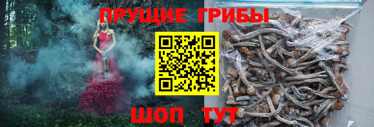 Псилоцибиновые грибы MAGIC MUSHROOMS Зеленогорск